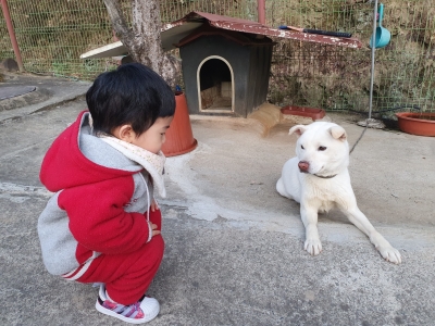 우리집 귀염둥이 두명의 반려인