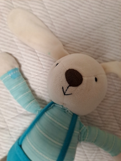 제 오랜 친구 토리를 소개합니다.