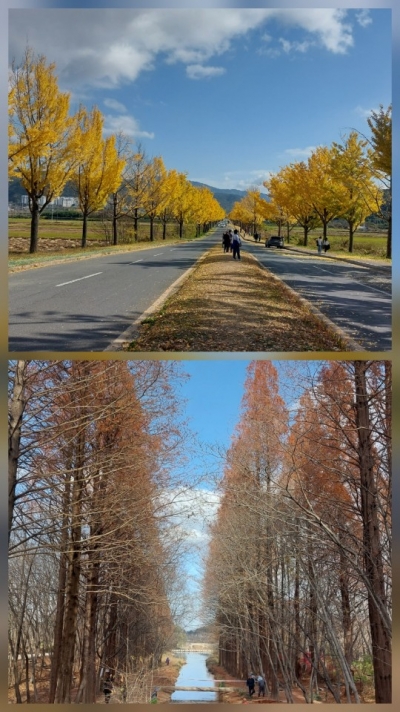 나의 고향 경주