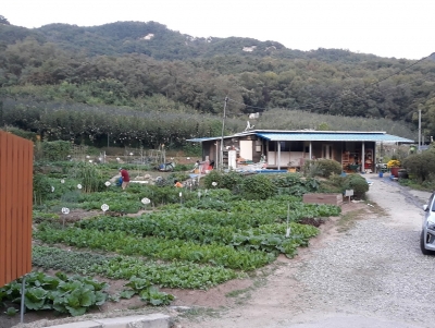 주말텃밭 이웃들과의 나눔