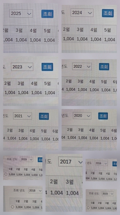 꾸준히 이어온 11년기부
