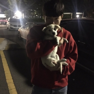 몽산포에서 온 몽실이를 소개합니다.
